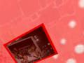videos de A tribute to EBBabe Jing