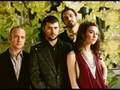 Straylight Run-The Tension and the Terror
