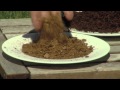 Waterwise Tip Show 3