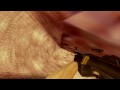 idor On Nuke | In Honor Of Kreedz