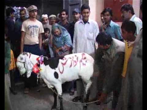 indian doodh picture