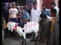 Beghum Nawazish Goat Pkg