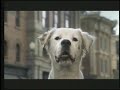 budwiser super bowl XLI commercial