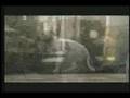 budwiser super bowl XLI commercial
