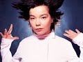 bjork-immature-groove-grave-mix.html