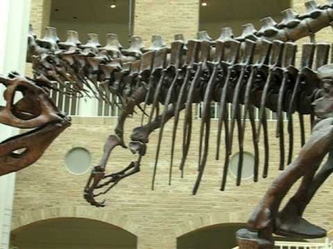 Argentinosaurus