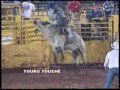 Rodeio TOURO TOUCH�