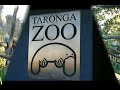 Taronga Zoo, Sydney