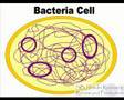 Genetic-Engineering-
