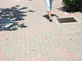 san diego state campus (no sound, just sun)