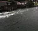 borain le pont