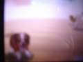 Nintendogs-recordando cachorros Nintendogs-recordando cachorros