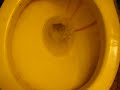 My UPC Toilet Flushing. For TheYellowTaxi. My UPC Toilet Flushing. For TheYellowTaxi.