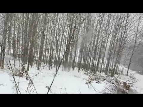 LOOKOUT HILL SLED RIDE