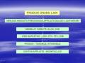 Bisnis Internet