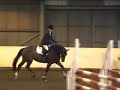 New 4yr Old Jumping 1.00m BSJA