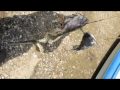 Texas Fishing