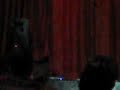 Julia introduces The Apple - The Greats of Roth