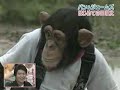pankun & James farming 1/4