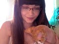 MY LOLCAT GOT FEATURED ON ICANHASCHEEZBURGER.COM!