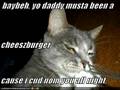 MY LOLCAT GOT FEATURED ON ICANHASCHEEZBURGER.COM!