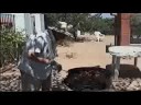 El Ballestero Albacete un paseo por el pueblo