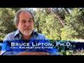 What If? The Movie (clip1) - Bruce Lipton PH.D
