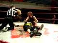 Wrestling: Опасная Зона 11.1