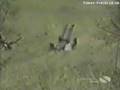 Funny-Bike-Accidents