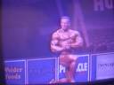 Geir Borgan Paulsen Master O Geir Borgan Paulsen Master O