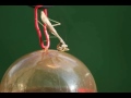 Humming Bird Feeder