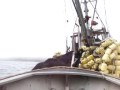 skiff cutting loose from seiner in chignik AK