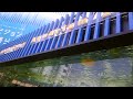 PSP?Chot-shot Sony Building Aquarium Movie PSP?Chot-shot Sony Building Aquarium Movie