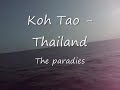 Thumbnail #1