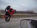 WHEELIE CBR1000RR COLI