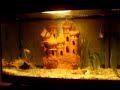 Video of my 125L Ornamental Aquarium [26-10-2008] 