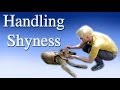 Handling Shyness- Clicker Dog Training