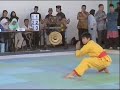 Silat Macan Pasrah Master In Action