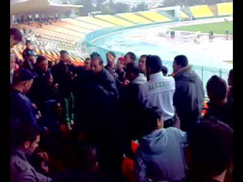 csconstantine. ملحقة: cs constantine