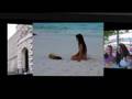 Italy/Galapagos video created on animoto.com website