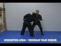NINJUTSU POSTURE POWER - Richard Van Donk
