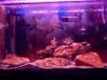 10g nano.wmv