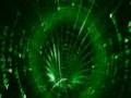 NEW Movie Trailer: Internet Marketing Nightmare