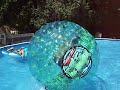 Human Gerbil Ball