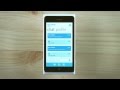Official Skype for Windows Phone app