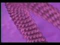 DNA Wrapping
