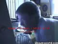Crazy Boy (Translation Version)