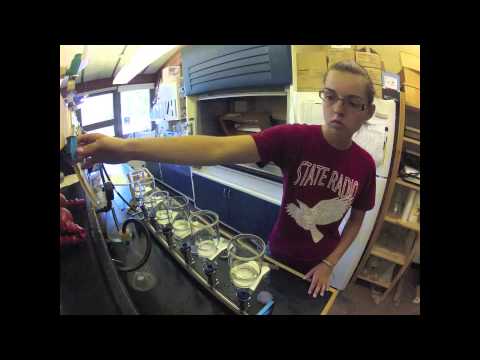 how to isolate pseudomonas putida