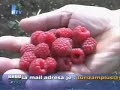 Kemal Balihodzic Turizam Plus u Bugojnu Kemal Balihodzic Turizam Plus u Bugojnu