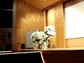 lion dance in stony lion dance in stony